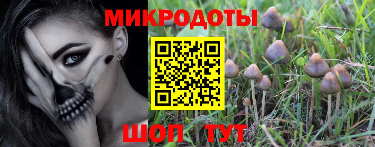 сколько стоит  Вход с VPN  Моздок  Псилоцибиновые грибы GOLDEN TEACHER 